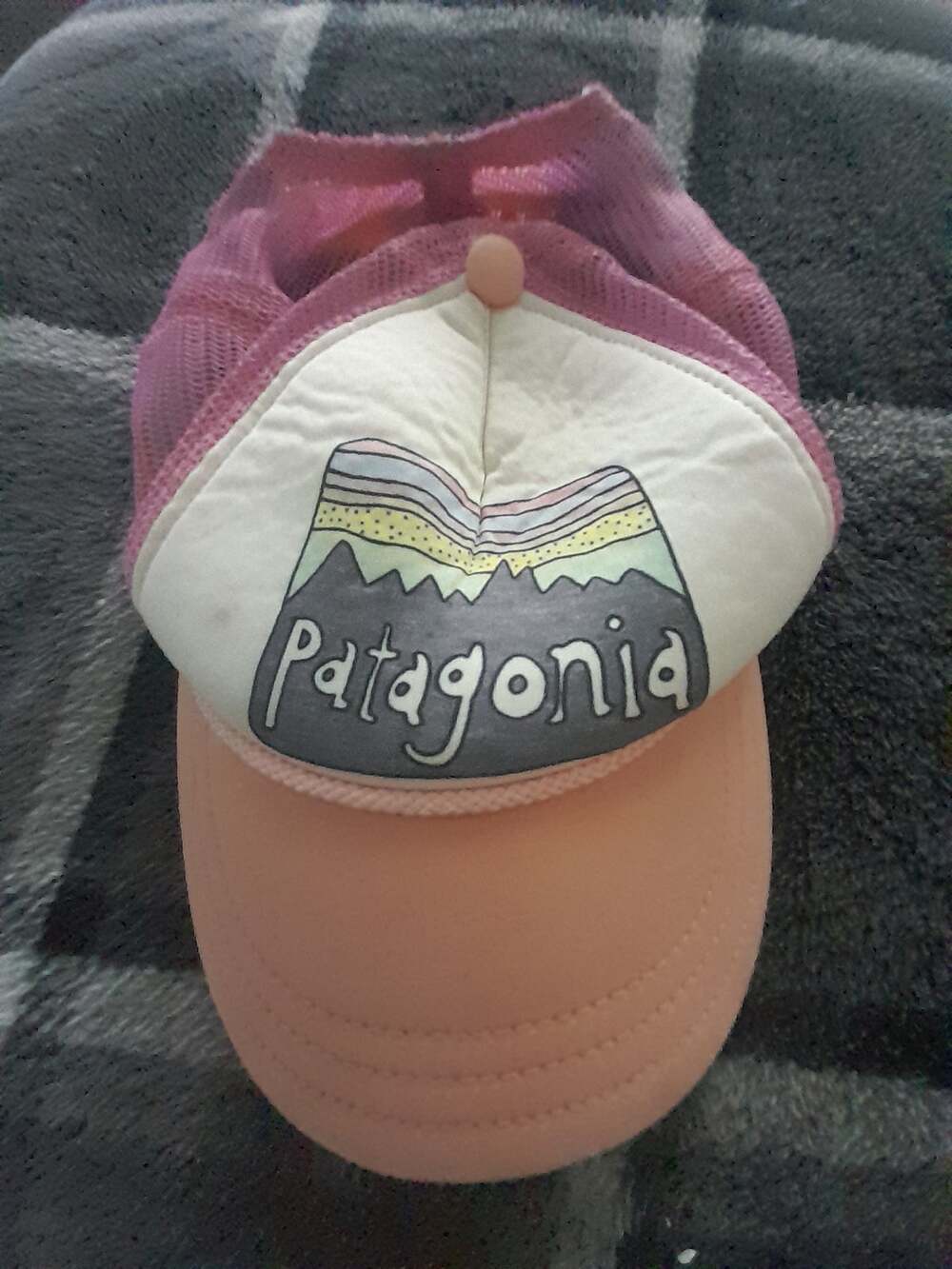 Patagonia trucker mesh hat